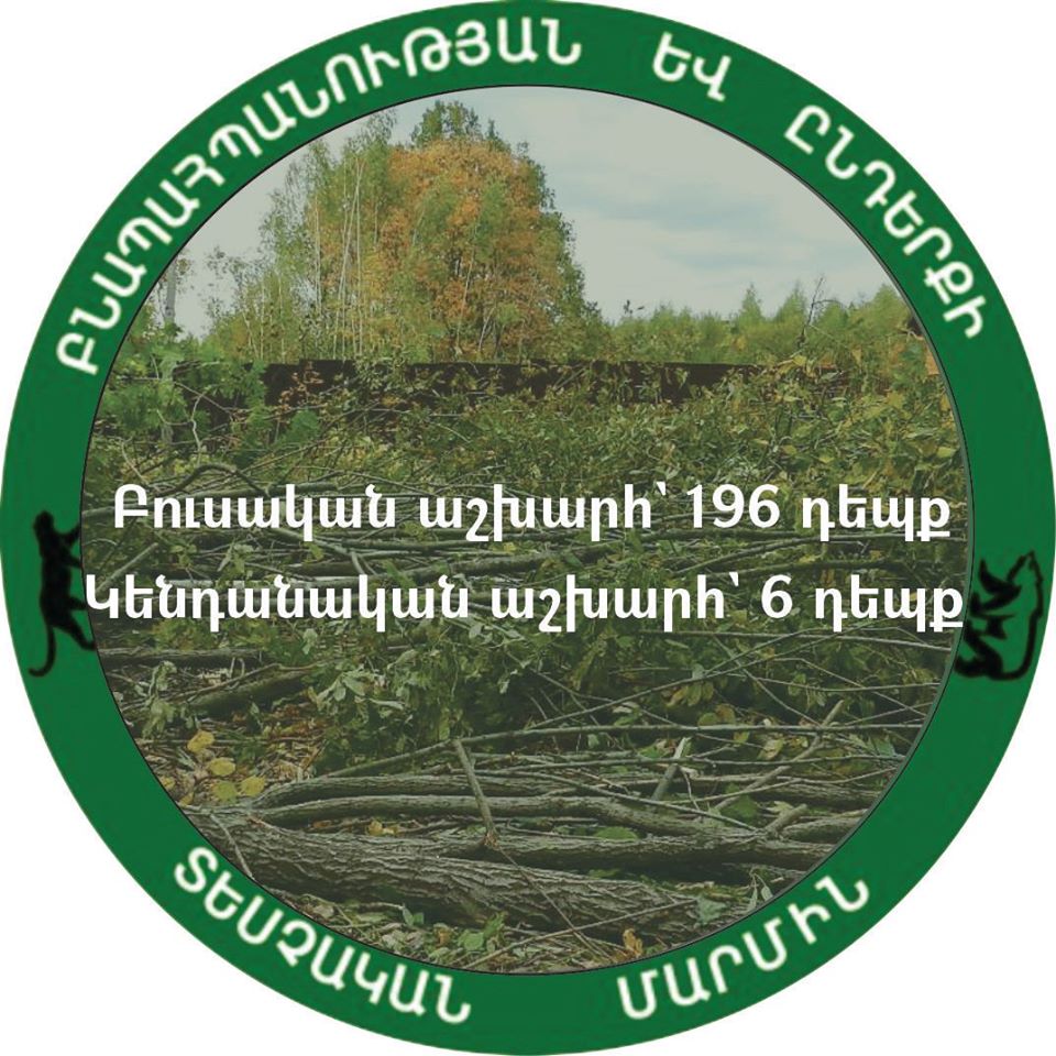 Բուսական աշխարհի պահպանության ոլորտում արձանագրվել է 196 դեպք, որից 148-ով հաշվարկվել է 148.710.812 ՀՀ դրամի չափով շրջակա միջավայրին հասցված վնաս