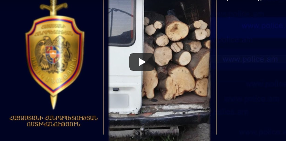 Գուգարքի ոստիկաններն ապօրինի ծառահատման դեպքեր են բացահայտել