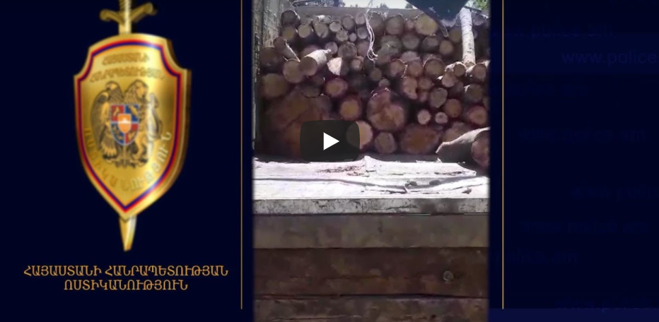 Ոստիկանները ապօրինի փայտանյութով բեռնատար են հայտնաբերել