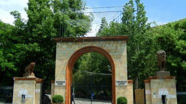 Կենդանաբանական այգում անկանոն հերթեր չեն արձանագրվել