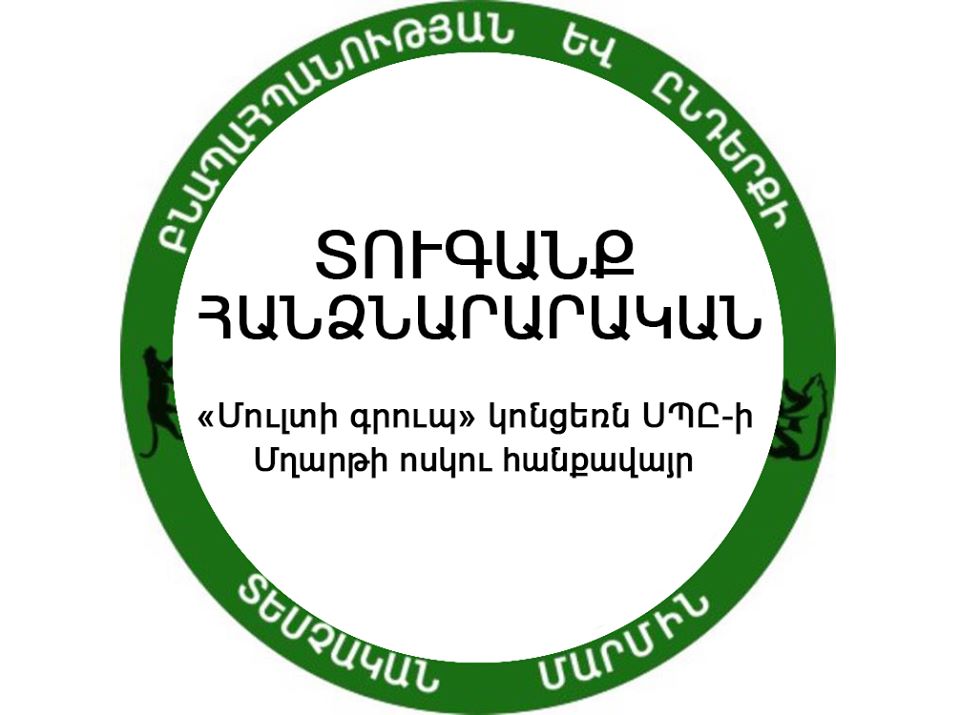«Մուլտի գրուպ» կոնցեռնի ոսկու հանքավայրը տուգանվել է 100 000 դրամով