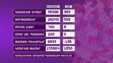 Հայաստանում հաստատվել է կորոնավիրուսի 383 նոր դեպք, 509 պացիենտ առողջացել է