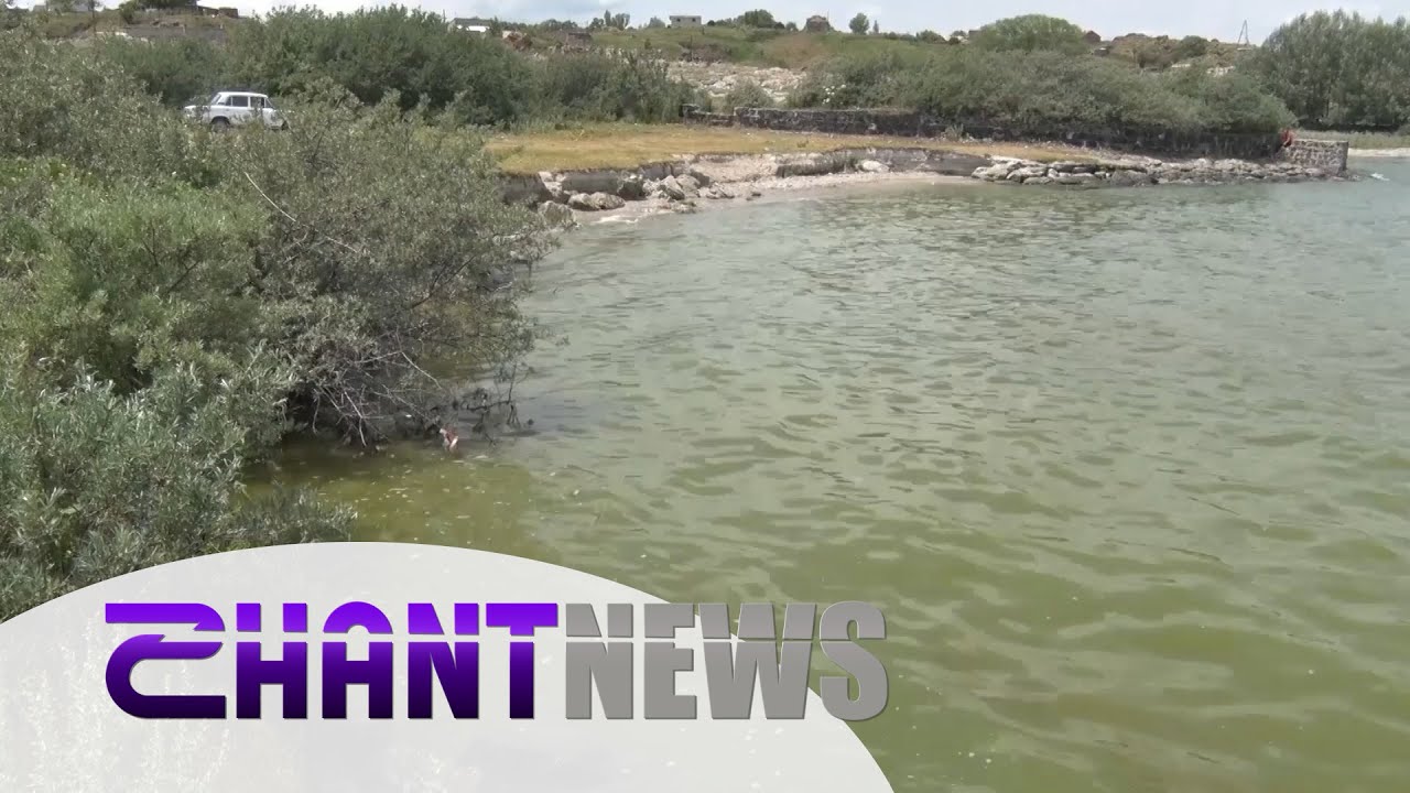 Սևանի խնդիրները՝ կանաչելուց մինչև ձկնապաշարներ. նախարարությունից անդրադարձել են խնդրին