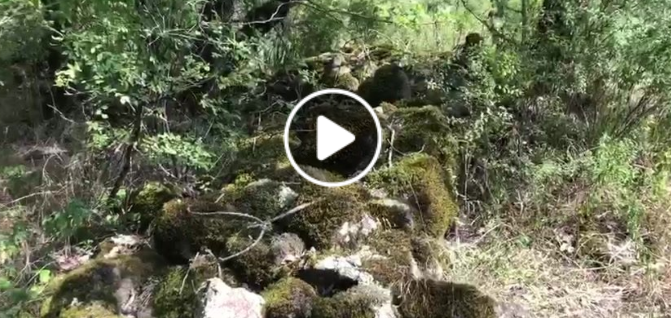 Մի քանի կտոր՝ այսօրվա արշավից. Փաշինյանը տեսանյութ է հրապարակել