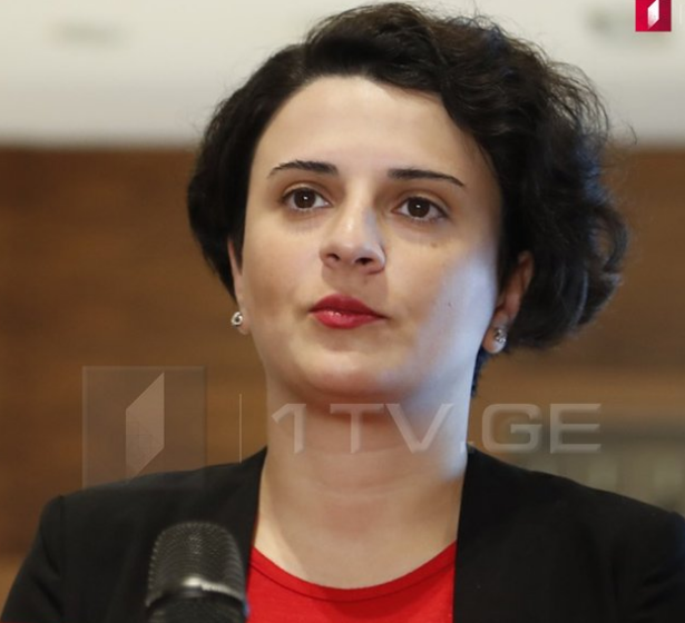 Վրաստանում չի ծրագրվում սահմանել համընդհանուր կարանտին և արտակարգ դրություն