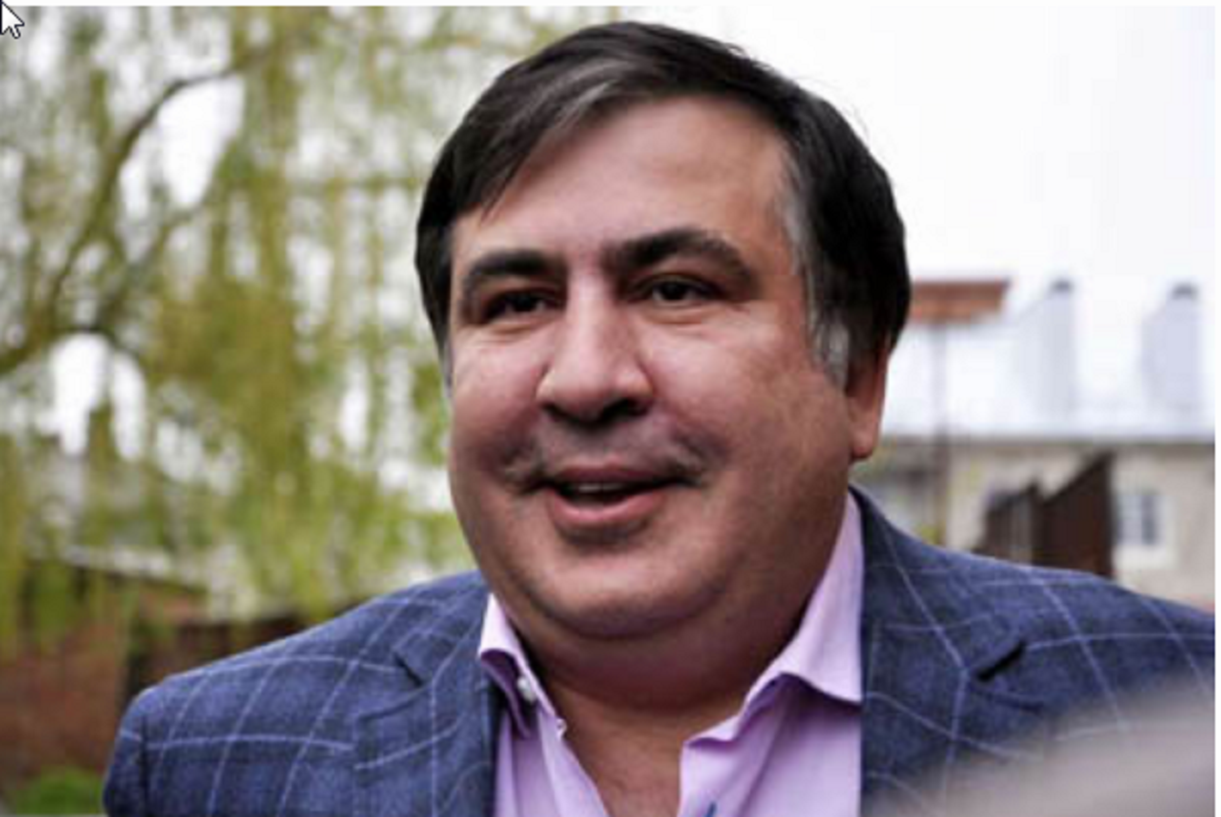 Միխեիլ Սաակաշվիլին Վրաստան կժամանի իշխանափոխությունից հետո. Ռոման Գոցերիձե