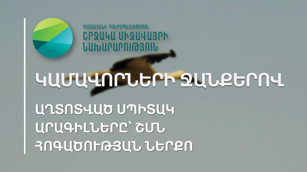 Աղտոտված սպիտակ արագիլները հոգածության ներքո են. Ռոմանոս Պետրոսյան
