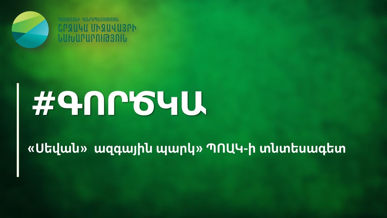 «Սևան» ազգային պարկ» ՊՈԱԿ-ում տնտեսագետի թափուր հաստիք կա