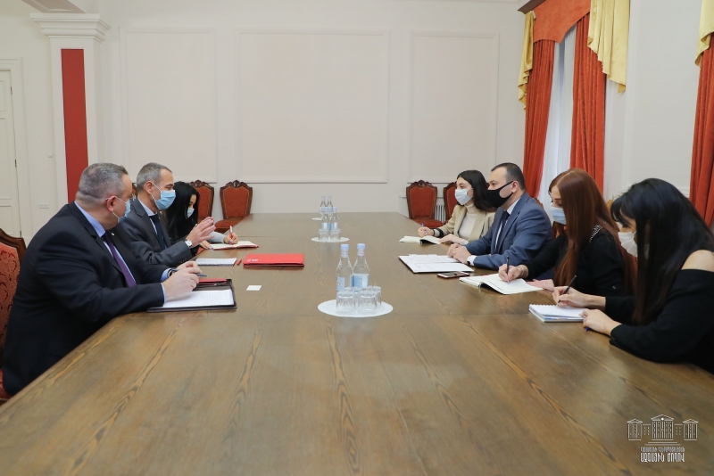 ՀՀ ԱԺ փոխնախագահը հանդիպել է Հայաստանում Կարմիր խաչի միջազգային կոմիտեի պատվիրակության ղեկավարի հետ