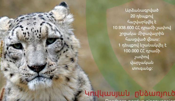 Արձանագրված 20 դեպքով հաշվարկվել է շրջակա միջավայրին հասցված մոտ 11 մլն դրամի վնաս