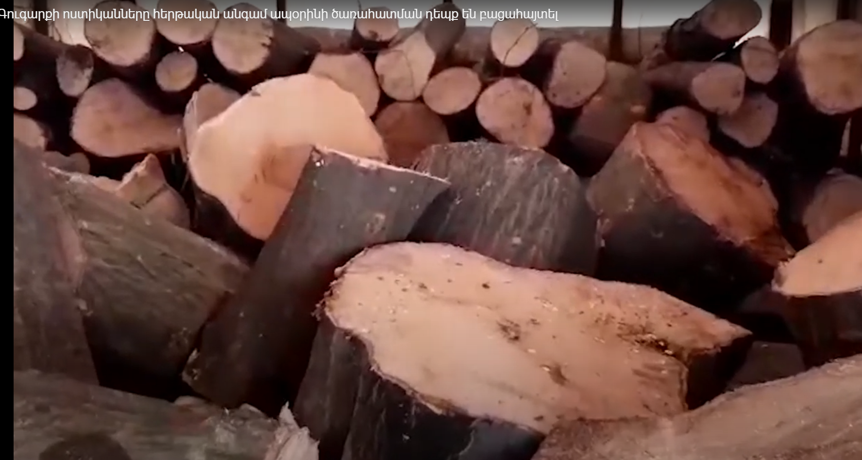 Գուգարքի ոստիկանները հերթական անգամ ապօրինի ծառահատման դեպք են բացահայտել