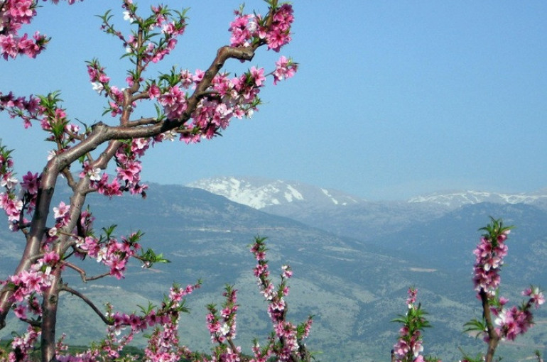 Մարտ ամսվա եղանակի կանխատեսումը