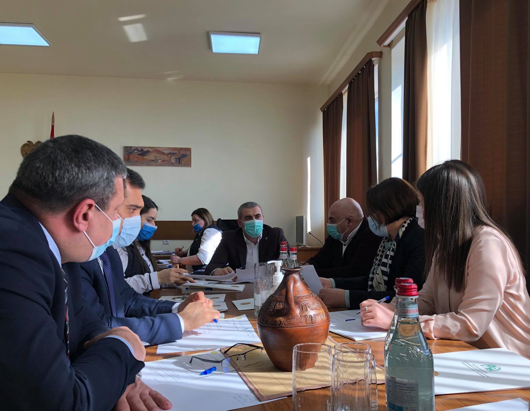 Տեղի է ունեցել ԱԱՏՄ ղեկավարին կից դեղերի ոլորտի խորհրդակցական աշխատանքային խմբի այս տարվա առաջին նիստը