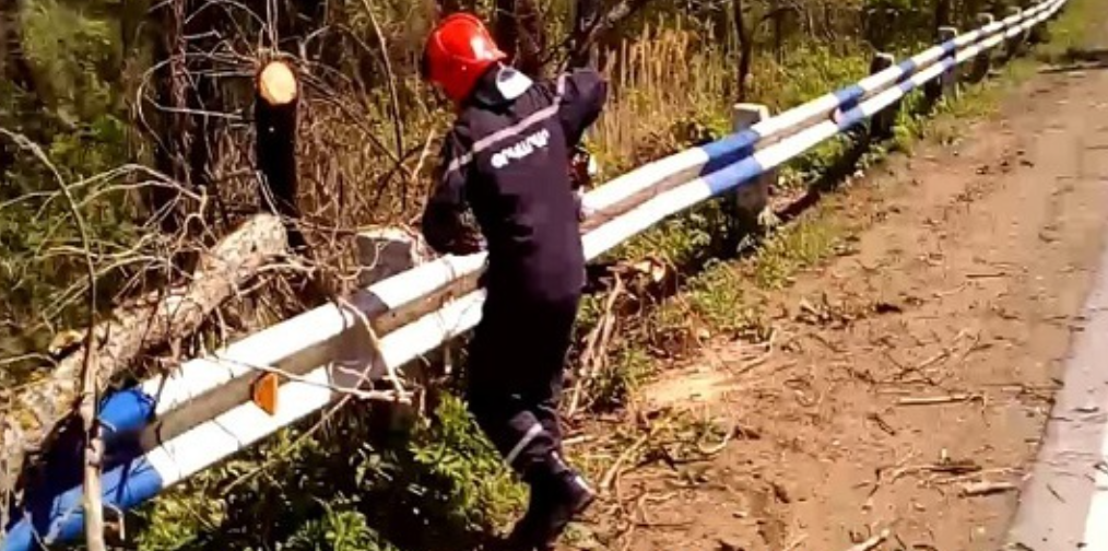Երևան-Երասխ ավտոճանապարհին ծառն ընկել է տրակտորի վրա․ կա տուժած