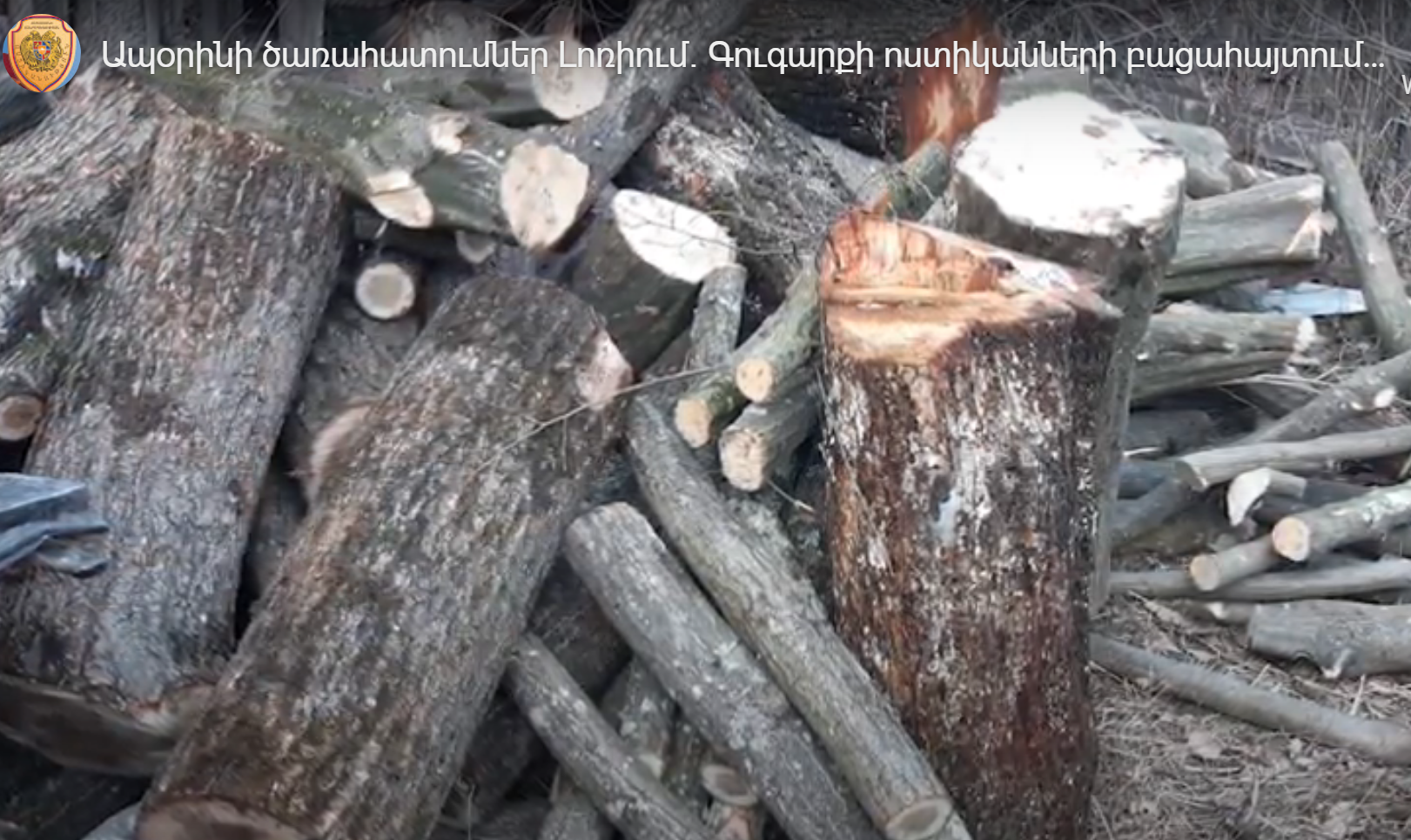 Ապօրինի ծառահատումներ Լոռիում․ Գուգարքի ոստիկանների բացահայտումները