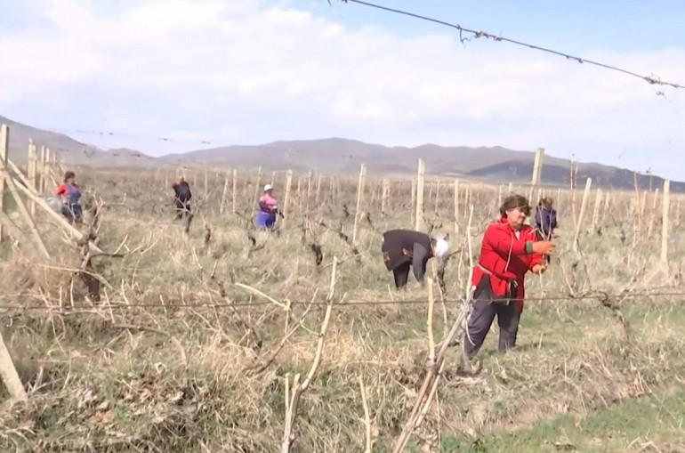 Ռուս խաղաղապահների օգնությամբ Լեռնային Ղարաբաղում սկսվել են գյուղատնտեսական աշխատանքները