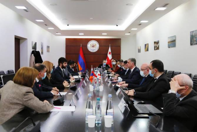 Հայաստանն ու Վրաստանը քննարկել են գյուղոլորտում համագործակցության հեռանկարները
