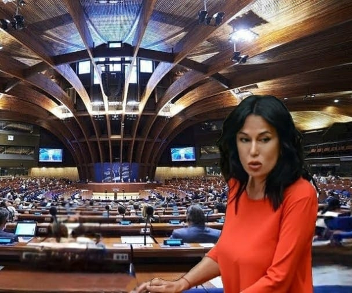 ԵԽԽՎ նախագահությունը և բյուրոն հաստատեցին հայ ռազմագերիների հարցի քննարկումը. Նաիրա Զոհրաբյան