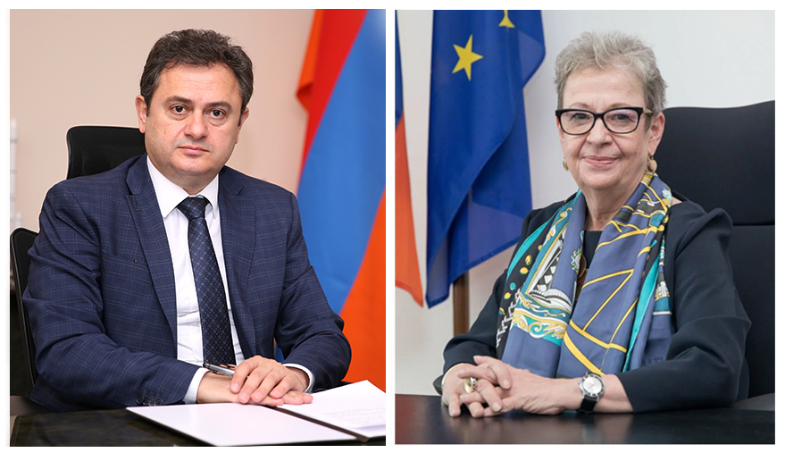 ԲՏԱ նախարարը հեռավար հանդիպում է ունեցել ՀՀ-ում ԵՄ դեսպանի հետ