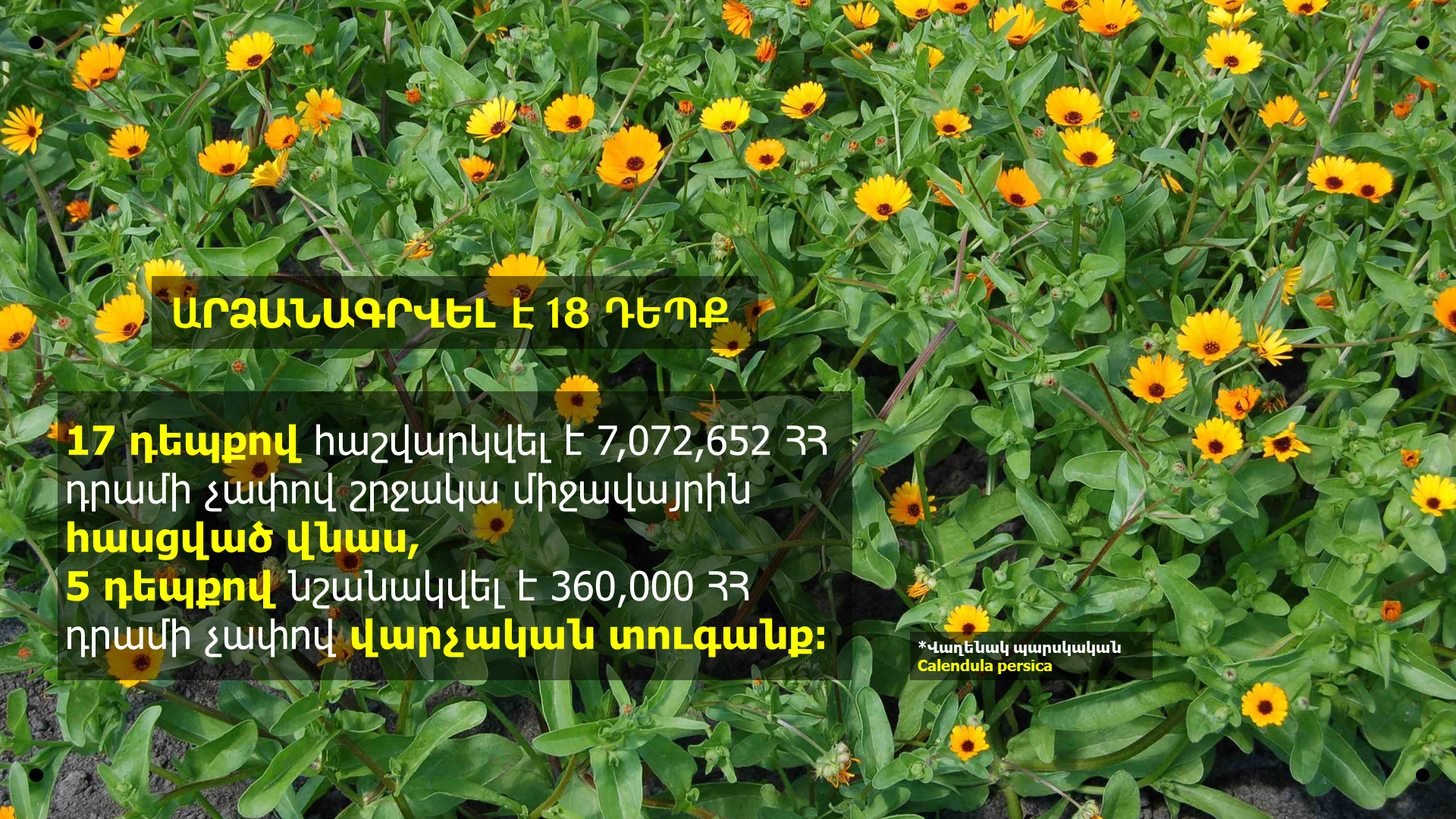 Հաշվարկվել է 7.072.652 ՀՀ դրամի չափով շրջակա միջավայրին հասցված վնաս