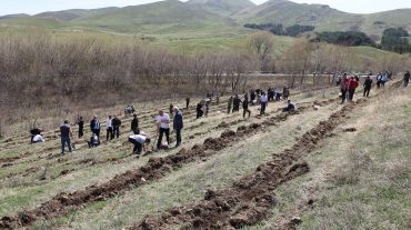 «10 մլն ծառ» նախաձեռնության շրջանակում Հայաստանում տնկվեց 360․000 ծառ