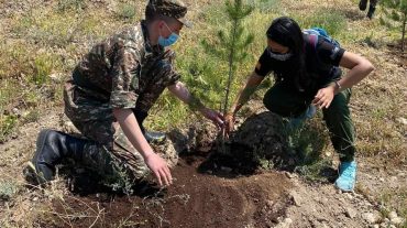 Օտարերկրացի ապագա բժիշկները 100+33 ծառ տնկեցին «Եռաբլուր» զինվորական պանթեոնում. Արմեն Մուրադյան