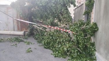 Վնասներ՝ քամու հետևանքով
