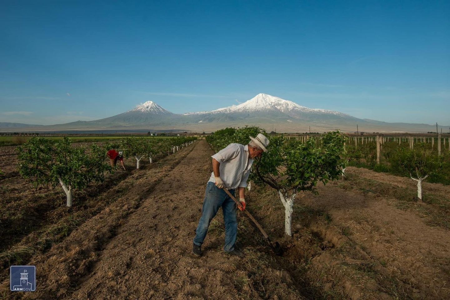 Պտղատու այգիների խնամքի հետ կապված՝ էկոնոմիկայի նախարարությունը խորհուրդներ է տալիս