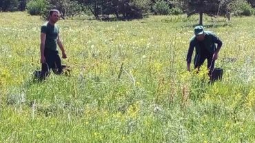 «Արփի լիճ» ազգային պարկում իրականացվում են տնկված ծառերի ոռոգման աշխատանքներ