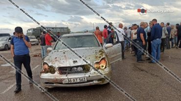 Գեղարքունիքում Mercedes-ը մխրճվել է հոտի մեջ․ 30-ից ավելի ոչխար սատկել է