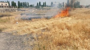 «Հսկվող կրակ» միջոցառում` «Ծիծեռնակաբերդ» զբոսայգու տարածքում