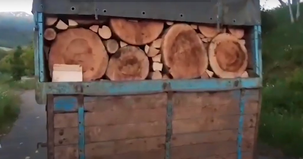Ապօրինի ծառահատման դեպքեր Լոռու մարզում