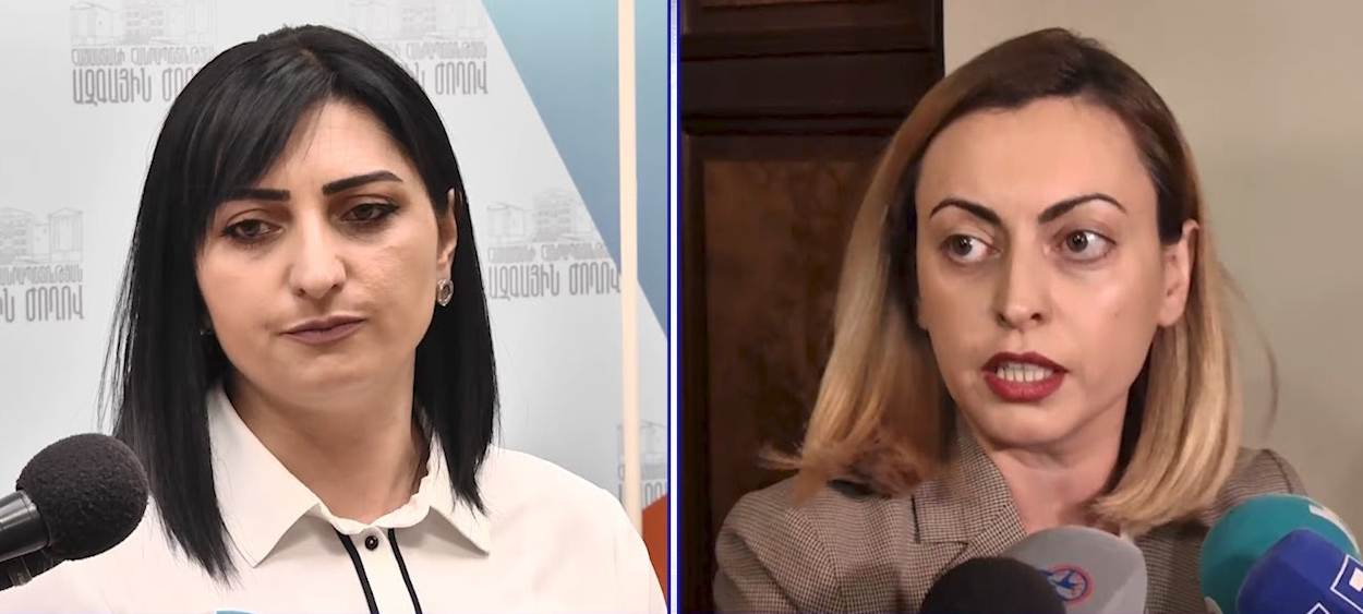 Թագուհի Թովմասյանը դատական հայց է ներկայացրել Լենա Նազարյանի դեմ