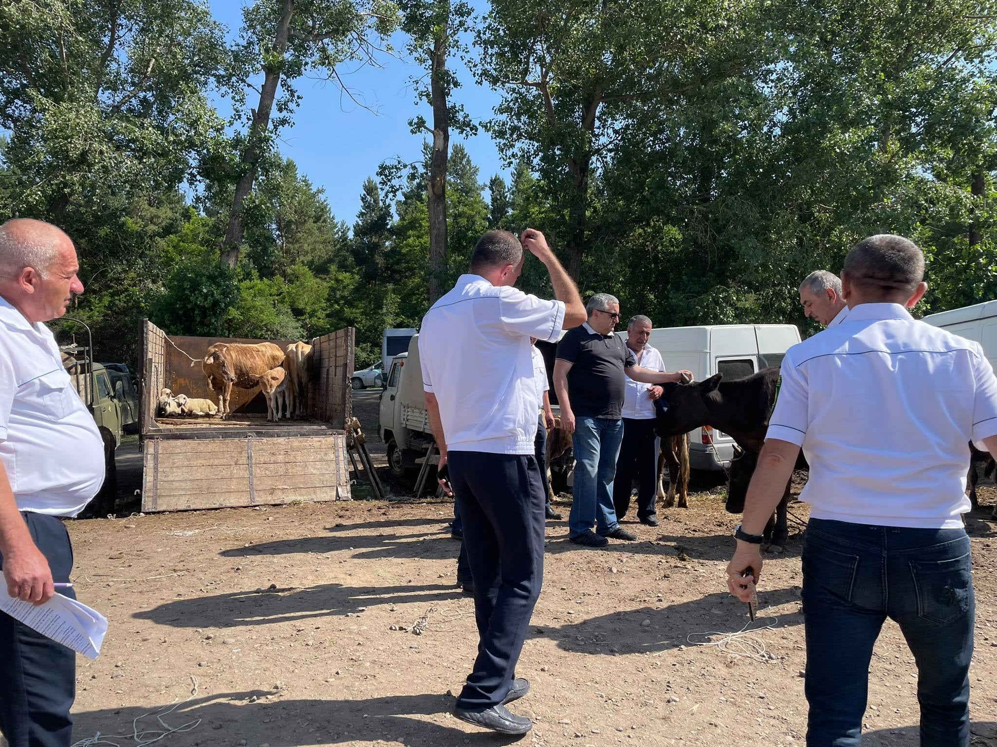 ՍԱՏՄ տեսուչները շրջայց են կատարել Մարտունու ամենամեծ անասնաշուկայում