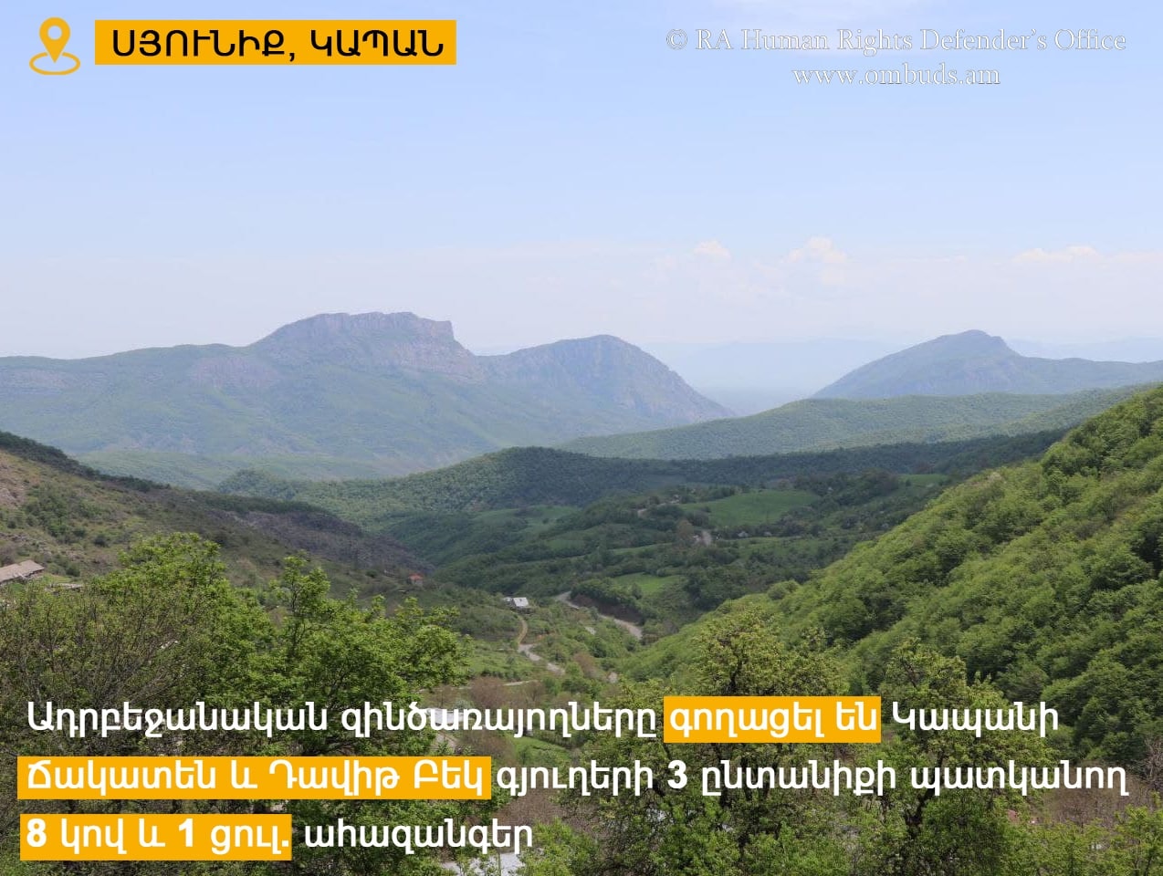 Ադրբեջանական զինծառայողները գողացել են Կապանի Ճակատեն և Դավիթ Բեկ գյուղերի 3 ընտանիքի պատկանող 8 կով և 1 ցուլ. ՄԻՊ