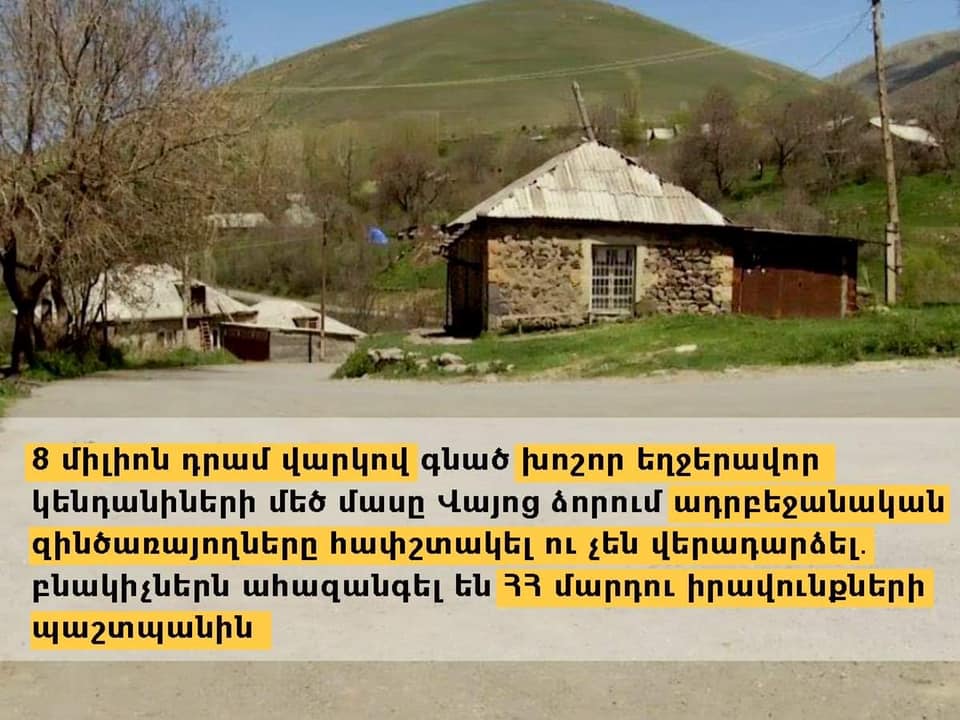 8 մլն դրամ վարկով գնված խոշոր եղջերավոր կենդանիների մեծ մասը Վայոց ձորում ադրբեջանցիները հափշտակել ու չեն վերադարձել․ ՄԻՊ