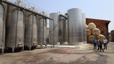 Գյուղոլորտի աջակցության ծրագրերը շոշափելի ազդեցություն են ունենում վերամշակող ընկերությունների զարգացման գործընթացում․ էկոնոմիկայի փոխնախարար