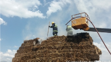 Այրվել է մոտ 400 հակ անասնակեր