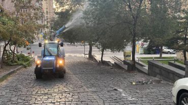 Կենտրոն վարչական շրջանում բույսերի բուժման աշխատանքներ են