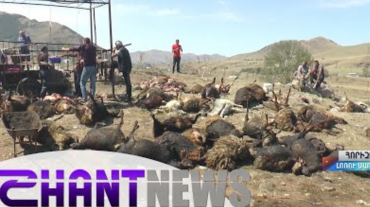 Խոշոր հրդեհ Լոռու մարզում․ այրվել է մոտ 2 200 հակ անասնակեր, ծխահարվել՝  մոտ 250 ոչխար