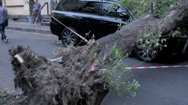 Փարպեցու փողոցում ծառն ընկել է ավտոմեքենաների վրա