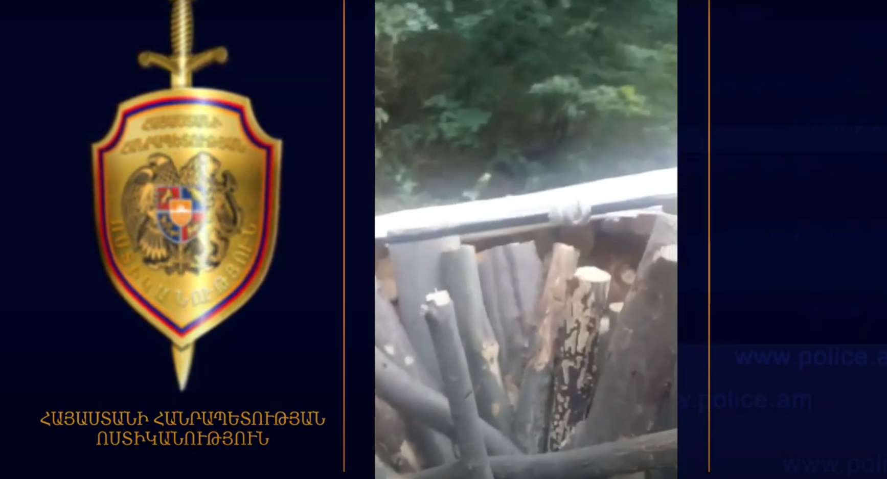 Գուգարքի ոստիկաններն ապօրինի ծառահատման դեպք են բացահայտել