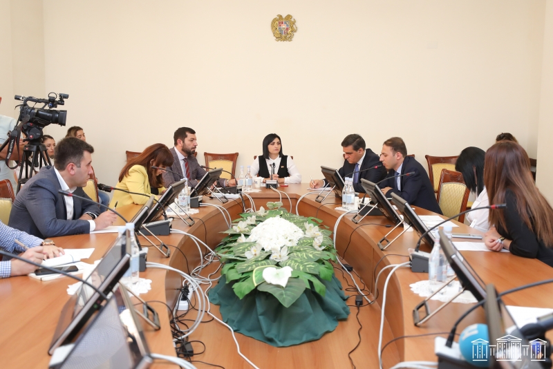 ԱԺ-ում տեղի ունեցած աշխատանքային հանդիպման առանցքում մարդու իրավունքների պաշտպանության խնդիրներն էին