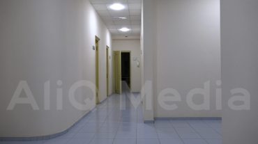 ԱՀԿ-ի ներկայացուցիչներն այցելել են Վրաստանի Covid բուժման կլինիկաներ