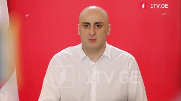 Ես կցանկանայի, որ Միխեիլ Սաակաշվիլին դադարեցնի հացադուլը հիմա, երբ ընդդիմությունը հաղթեց․ Նիկա Մելիա