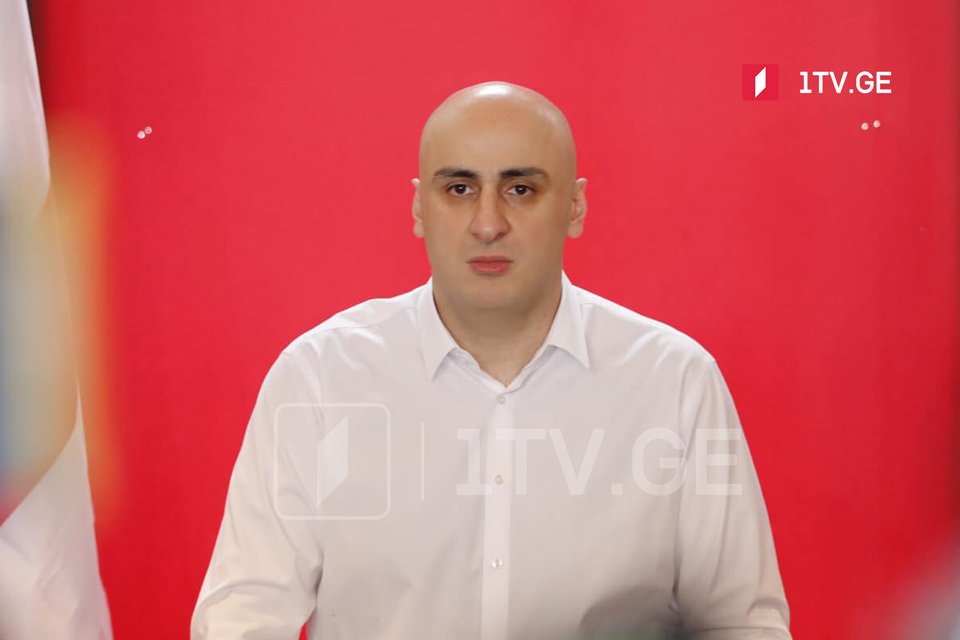 Ես կցանկանայի, որ Միխեիլ Սաակաշվիլին դադարեցնի հացադուլը հիմա, երբ ընդդիմությունը հաղթեց․ Նիկա Մելիա