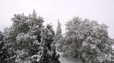Առաջիկա գիշերվա ընթացքում կանխատեսվում է օդի ջերմաստիճանի նվազում ևս 3-5 աստիճանով