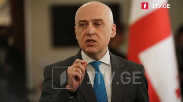Անթույլատրելի է, որ մեկ անձ պատանդ վերցնի Վրաստան-Ուկրաինա ռազմավարական գործընկերությունը. Վրաստանի ԱԳ նախարար