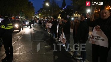Վրաստանում «Ազգային շարժումը» անց է կացրել կենդանի շղթայի ցույց