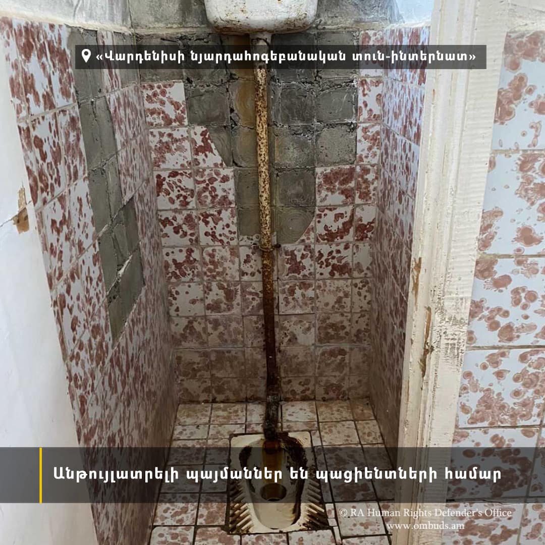 Ժամկետանց բուժպարագաներ, դեղերի պակաս, հոգեբույժների խիստ պակաս. ՄԻՊ-ը՝ Վարդենիսի տուն-ինտերնատի մասին